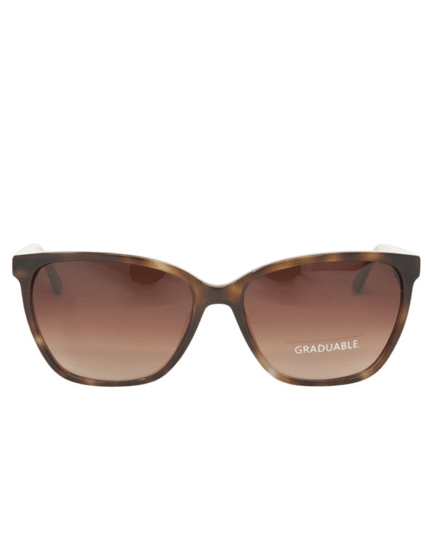 gafas-de-sol-solander